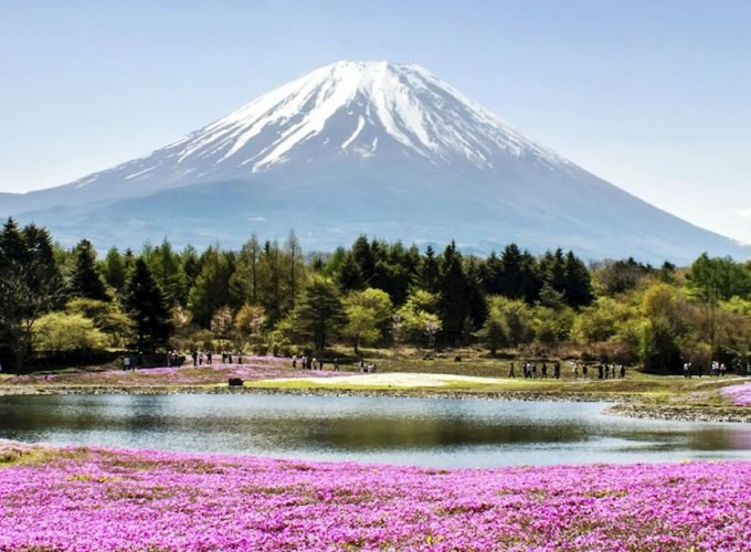 <h1 style='font-size:18px;'>From Tokyo: 1-Day Private Mount Fuji Tour by Car</h1><H2 style='color:#5E6D77;font-size:14px;'>Spend a day exploring the Mount Fuji area on this private, fully customizable tour</H2>