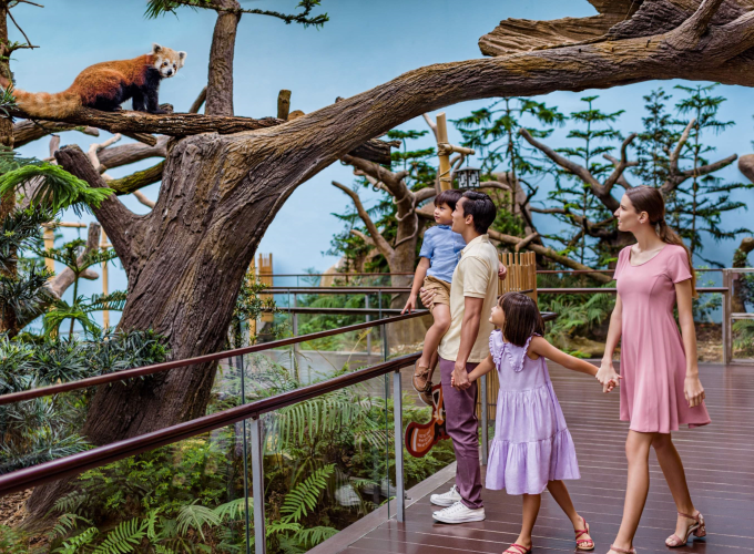 <h1 style='font-size:18px;'>Singapore River Safari</h1><H2 style='color:#5E6D77;font-size:14px;'>River Wonders Singapore is Asia's first and only river-themed wildlife park</H2>