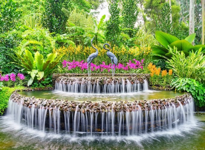 <h1 style='font-size:18px;'>National Orchid Garden Admission Ticket</h1><H2 style='color:#5E6D77;font-size:14px;'>The splendour of these gorgeous blooms is absolutely a sight to behold at the National Orchid Garden</H2>