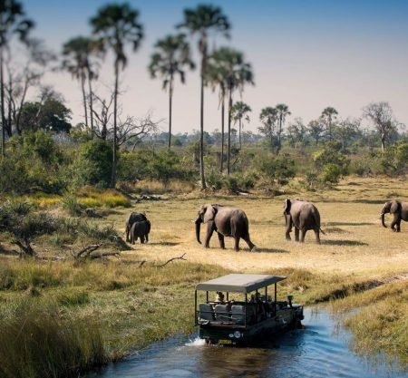 <h1 style='font-size:18px;'>Botswana 4 Stars Safari</h1><H2 style='color:#5E6D77;font-size:14px;'>Tour to the iconic wildlife of the Chobe regions includes hotel, activity & game drives</H2>
